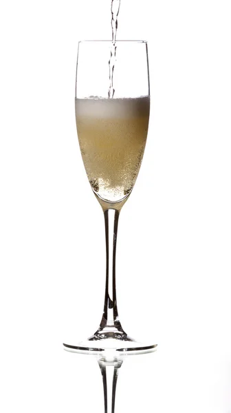 Champagne bollicine — Foto Stock