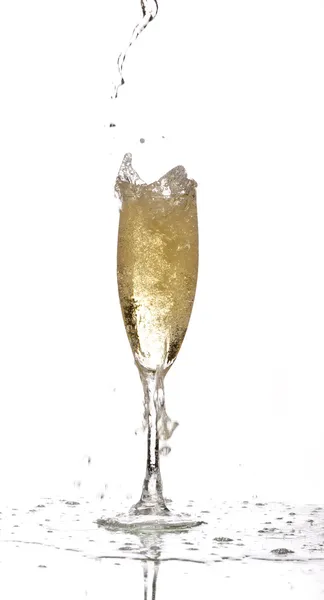 Hälla champagne Royaltyfria Stockfoton