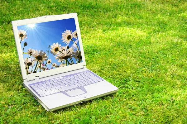 Laptop a květina — Stock fotografie