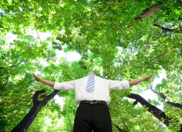 Rilassato uomo d'affari in piedi nella foresta — Foto Stock
