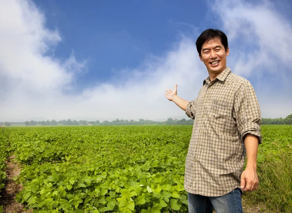 Happy asian farmer showing his farm — Stock Photo, Image