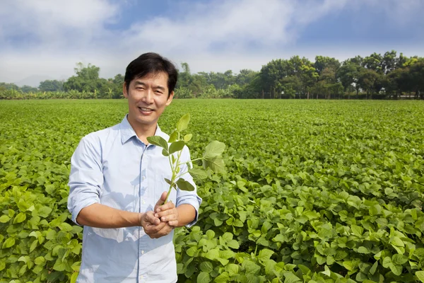 Granjero chino sosteniendo plantones y de pie en su granja — Foto de Stock