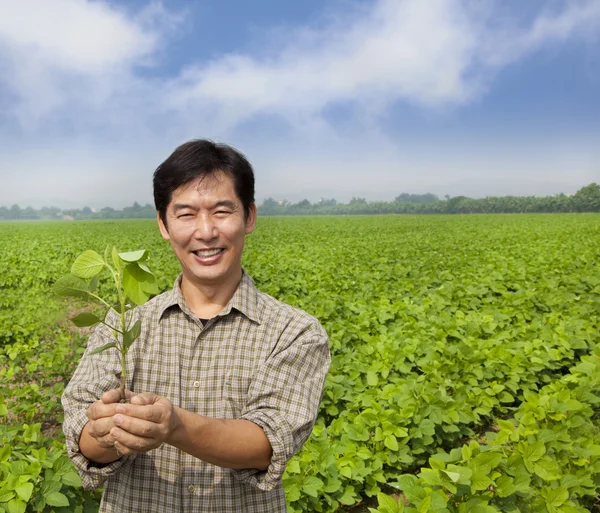 Portrét asijské zemědělce — Stock fotografie
