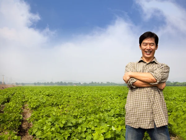 Успіх азіатського фермера середнього віку — стокове фото