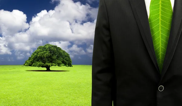 Concepto de negocio verde.Empresario con corbata de hojas y fondo de árbol viejo — Foto de Stock