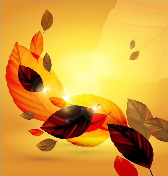 Diseño de hojas de otoño — Archivo Imágenes Vectoriales