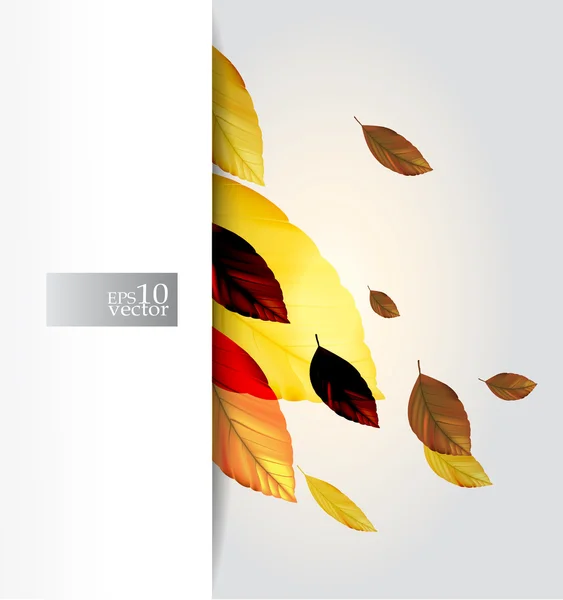 Feuilles d'automne design — Image vectorielle