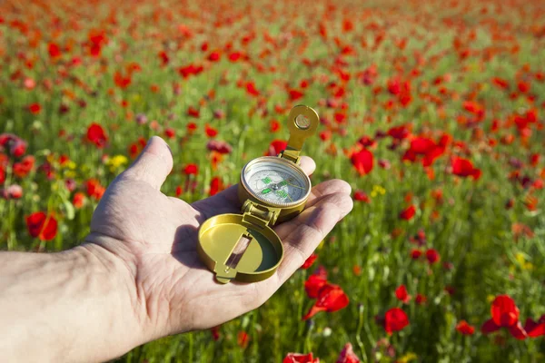 Compass in a Hand / Discovery / Beautiful Day / Red Poppies in N — Stock Photo, Image