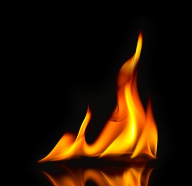 Fire Flames / with reflection / beautiful modern style clipart