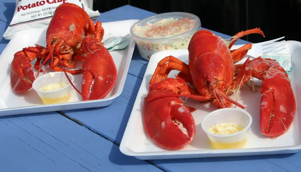 stock image Lobster lunch