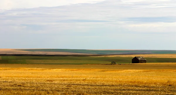 Montana landbouwgrond — Stockfoto