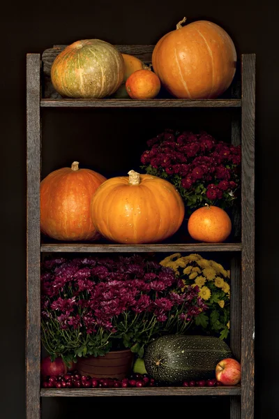 Display of pumkins in a kitchen shelf. — Stock Photo, Image