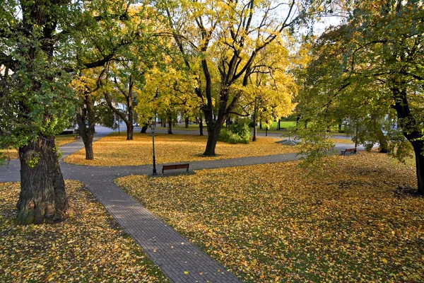 Stock image Autumn in the park.