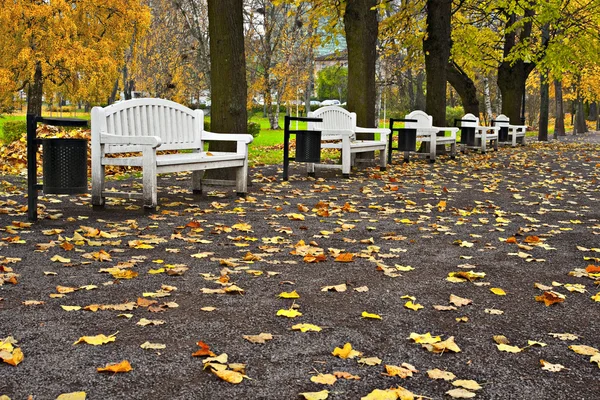 Set di panche nel parco . — Foto Stock