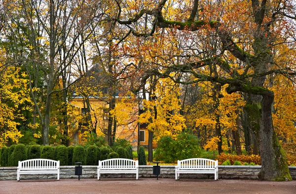 Sada lavičky v parku. — Stock fotografie