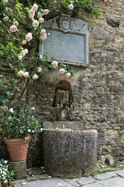 Marmurowa fontanna. Gropparello zamku. Emilia-Romania. Włochy. — Zdjęcie stockowe