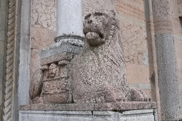 Estátua de mármore. Catedral. Piacenza. Emilia-Romagna. Itália . — Fotografia de Stock