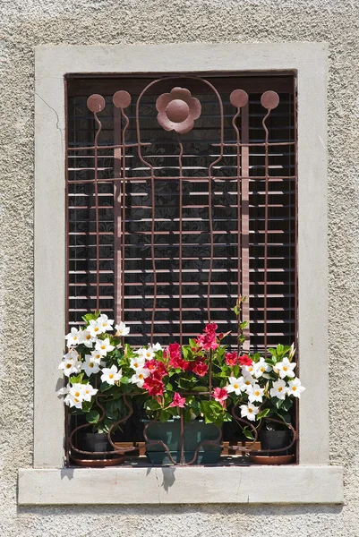 Window. — Stock Photo, Image