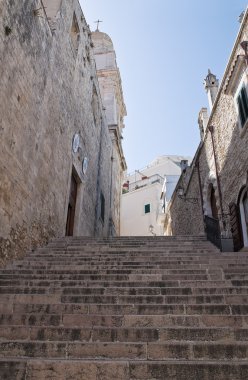 St. Maria Assunta Basilica Cathedral. Vieste. Puglia. Italy. clipart