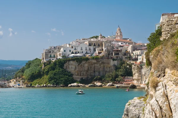 Panoramablick auf vieste. Apulien. Italien. — Stockfoto