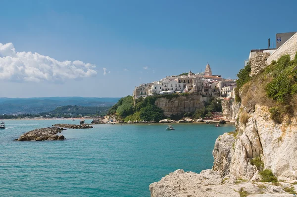 Panoramic view of Vieste. Puglia. Italy. — Stock Photo, Image