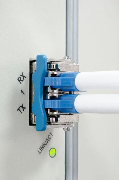Cabos de fibra óptica conectados a portas ópticas — Fotografia de Stock