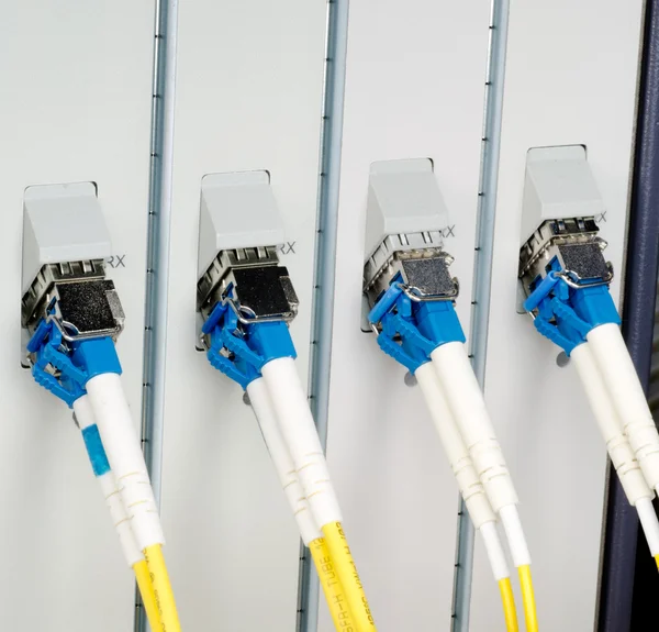 Cables de fibra óptica conectados a puertos ópticos Imagen de archivo