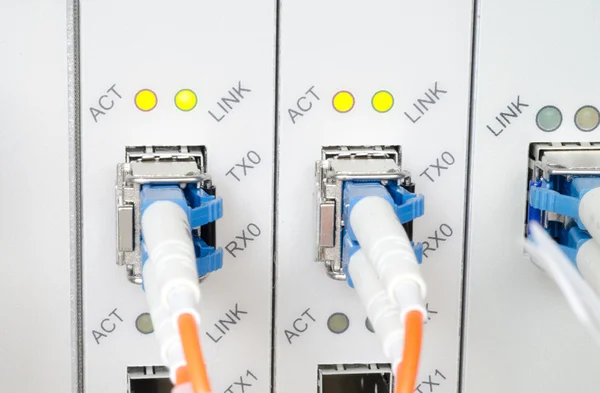 Cables de fibra óptica conectados a puertos ópticos Fotos de stock libres de derechos