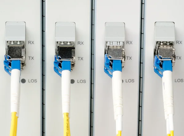 Cables de fibra óptica conectados a puertos ópticos Imagen de stock
