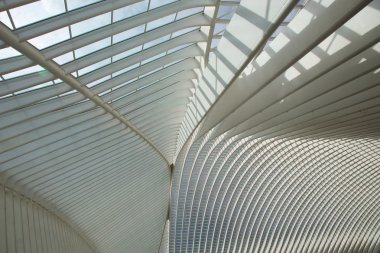 Liege-Guillemins railway clipart