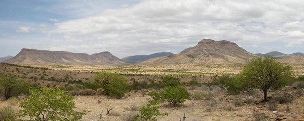 Panorama of the Kaokoland desert — Stock Photo, Image