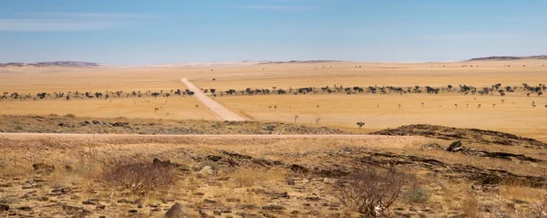 Desierto de Namib — Foto de Stock