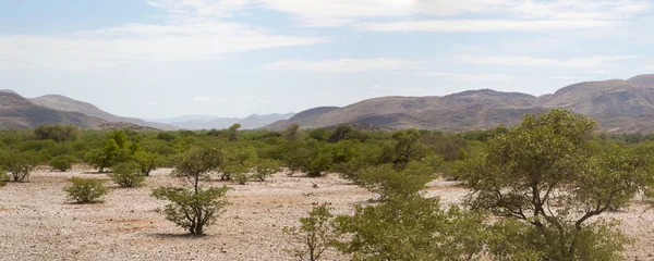 Panorama del deserto del Kaokoland — Foto Stock