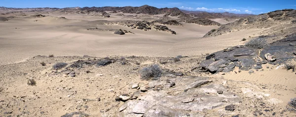 Скелет берега пустелі — стокове фото
