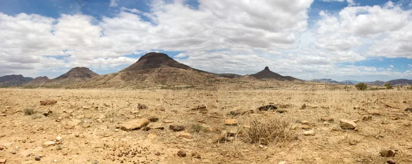 Kaokoland oyun rezerv Namibya gerçeküstü Panoraması — Stok fotoğraf