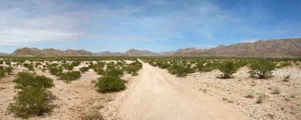 カオコランドの砂漠の道 — ストック写真