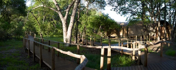 Lodge en Moremi Reserva de caza — Foto de Stock