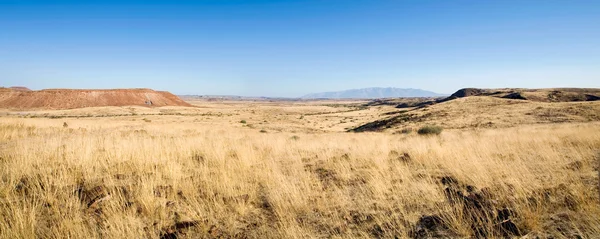 Natureza selvagem na Namíbia — Fotografia de Stock