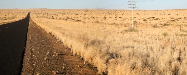 Pola w północnej części Republiki Południowej Afryki — Zdjęcie stockowe