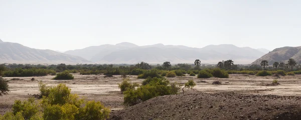 Kaokoland oyun rezerv Namibya — Stok fotoğraf