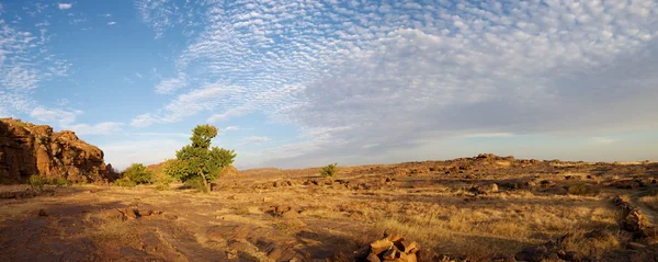 Cliff dogon arazi bandiagara — Stok fotoğraf
