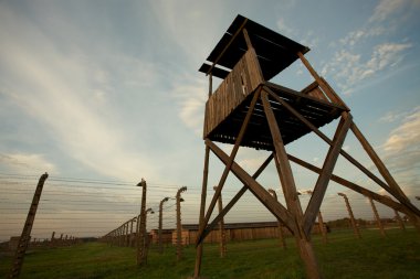 Auschwitz-birkenau toplama kampı