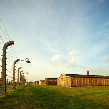 Auschwitz-birkenau toplama kampı