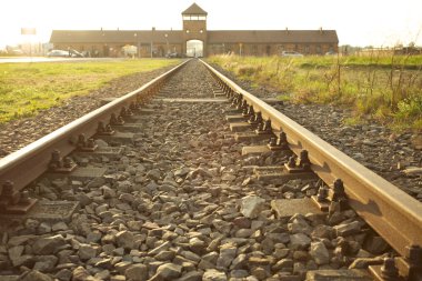 Auschwitz-Birkenau Concentration Camp clipart