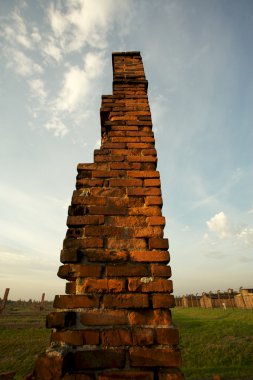 Auschwitz-birkenau toplama kampı