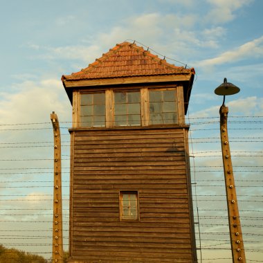 Auschwitz-birkenau toplama kampı