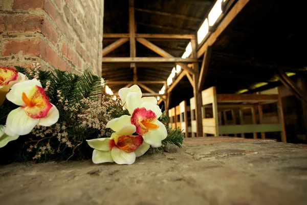 stock image Auschwitz-Birkenau Concentration Camp