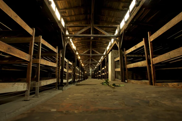 Campo de concentración de Auschwitz-Birkenau —  Fotos de Stock