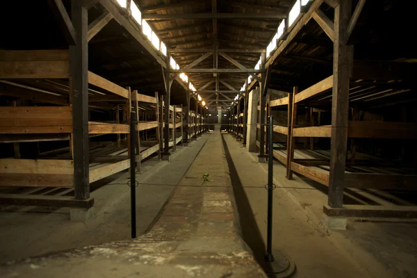 Campo di concentramento di Auschwitz-birkenau — Foto Stock