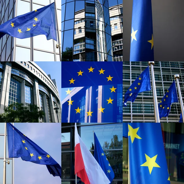 Eurooppalainen kokoonpano — kuvapankkivalokuva